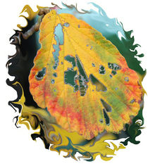 Herbst-Blattlöcher by Nikola Hahn