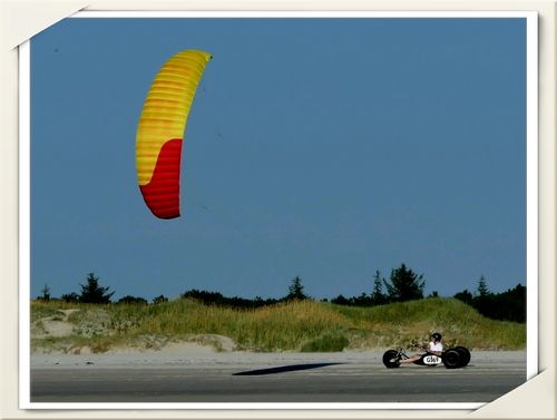 Strand-kiter