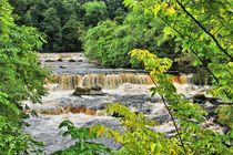 Aysgarth Upper Falls by gscheffbuch