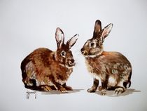Cute Bunnies by Terence Donnelly