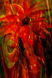 Phönix - Kaktusblüte abstrakt von Chris Berger