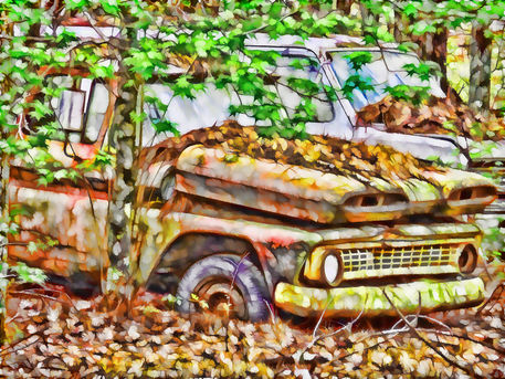 Abandoned-cars-overrun-by-nature