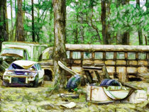 Just rusting away in the woods von lanjee chee