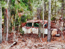 Vintage cars abandoned and rusting von lanjee chee