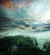 Carpathian Fog  by florin