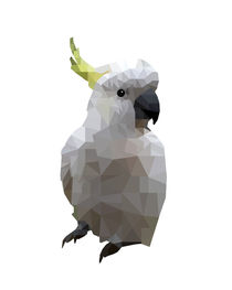Low Poly Cockatoo by Andi Morton