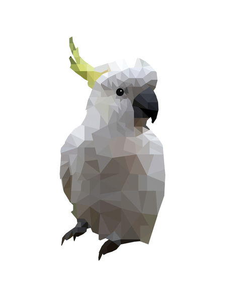 Low-poly-cockatoo