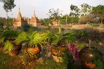 Tempel in Bagan von Bruno Schmidiger