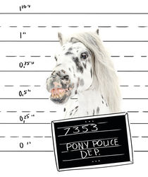 Pony-Power „Police“ by cavallo-magazin