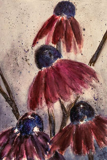 Echinacea in autumno - Roter Sonnenhut by Chris Berger