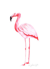 Flamingo 2 by Julia Reyelt