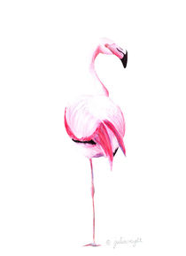 Flamingo 4 von Julia Reyelt