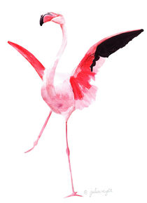 Flamingo 1 von Julia Reyelt