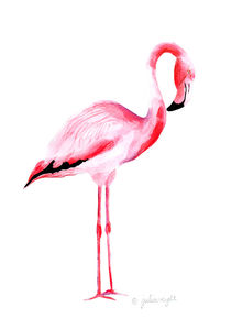 Flamingo 5 von Julia Reyelt