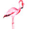 Flamingo7b