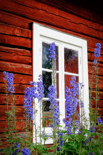 Swedish window by Thomas Matzl