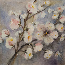 spring dream - early flower von Chris Berger
