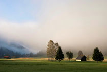 Misty landscape near Menzenschwand von John Stuij
