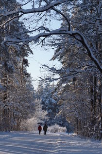 Winter walk by unrealkm