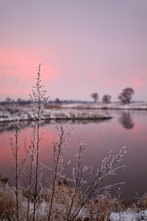 Winter Sunset At River Bank by STEFARO .