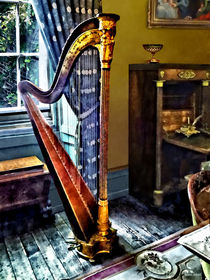 Elegant Harp by Susan Savad