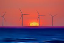 Windmills to the Sun  von John Wain