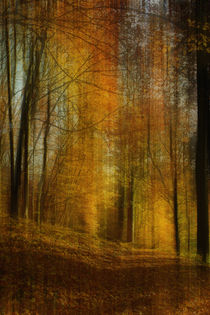 Herbstwald - abstract von Chris Berger