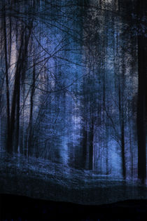 the magic forest - Der magische Wald by Chris Berger