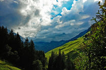'Zillertal - Grüne Matten am Berg' von Hartmut Binder