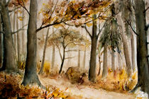 autumn forest - Herbstwald von Chris Berger