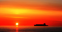 Sunset Silhouette von John Wain
