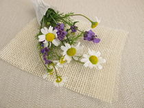 Ein kleiner Blumenstrauß mit Kamille und Lavendel von Heike Rau