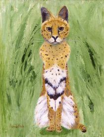 Serval Cat by Jamie Frier