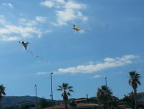 Freiheit - fliegende Drachen von Gabriela Valentino-Schenker