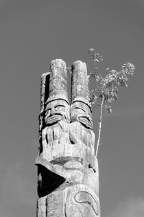 Haida Totem Pole by John Mitchell