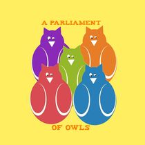 A Parliament of owls by Yolande Anderson