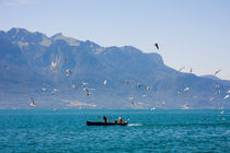 Fisherman boat surrounded by seagulls floating on the Geneva Lake by Jessy Libik