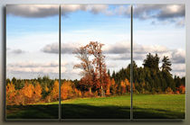 Triptychon - Herbst by Chris Berger