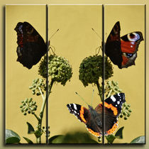 Triptychon - Schmetterlinge von Chris Berger