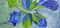 Oliv-und-konigsblau