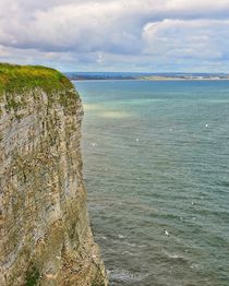 Bempton Cliffs by gscheffbuch