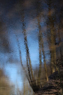 Wasserspiegelung in der Neetze by Simone Marsig