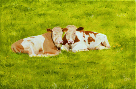 Cows-aibl-edited-1