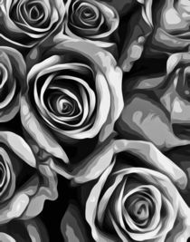 drawing and painting roses texture in black and white von timla