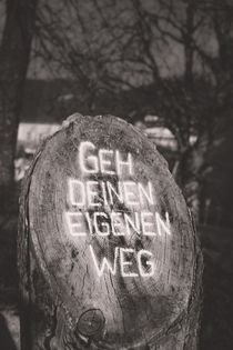 Geh deinen eigenen Weg - Go your own way by Silvia Eder
