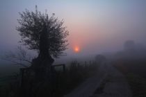 | foggy morning |  by franziskus