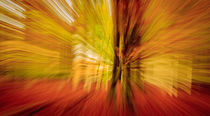 Triptych Autumn colours - Herbstfarben (2) by Silvia Eder