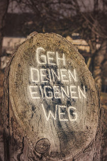 Go your own way - Geh deinen eigenen Weg by Silvia Eder