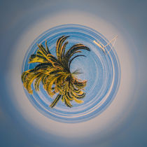 Little Planet lonely sailing boat - Kleiner Planet mit Segelboot by Silvia Eder