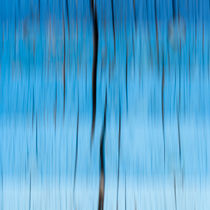Blue by Michael Schickert